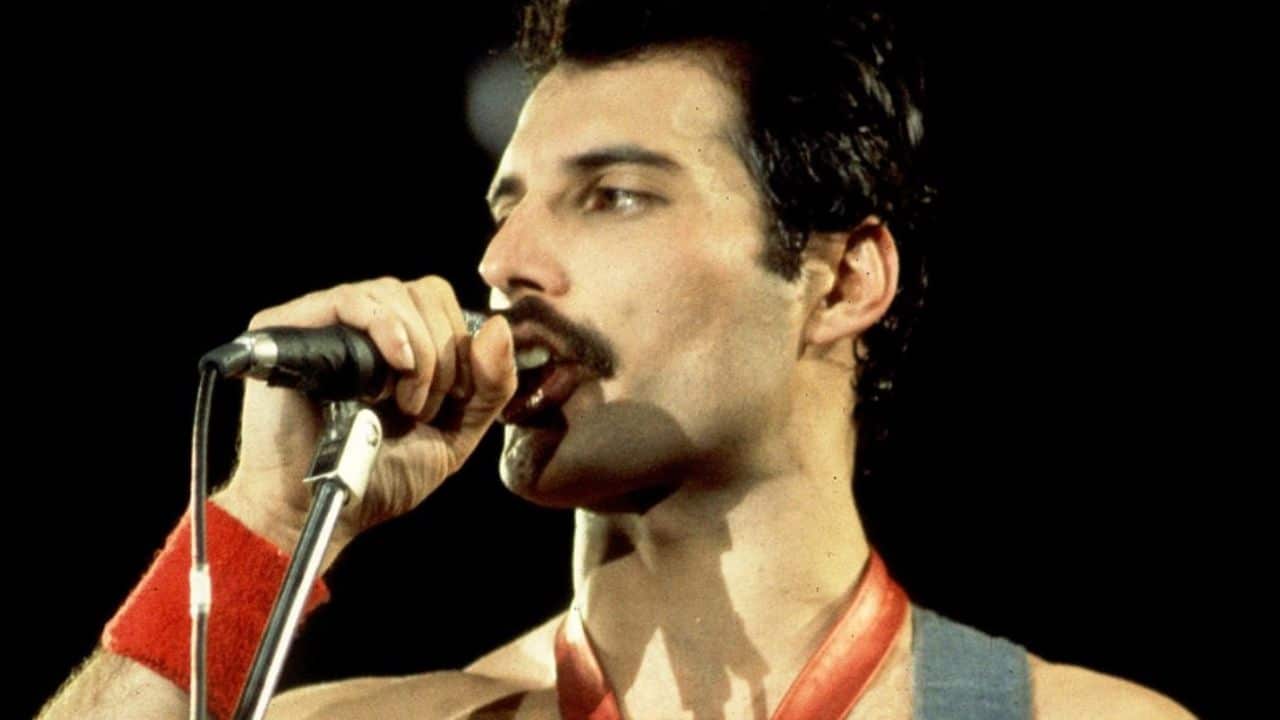 Who Received Freddie Mercury's Money After His Death?