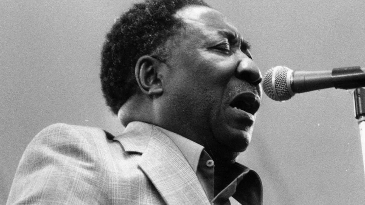 Muddy Waters